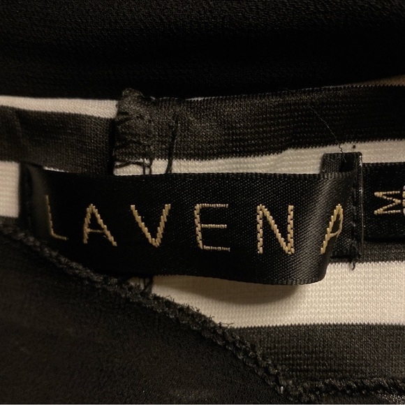 LAVENA- black & white stripe sleeveless dress with sheer black swing overlay - Picture 5 of 9